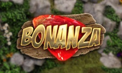 logo for Bonanza